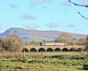 Train on Bridge