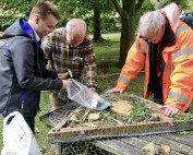 Bug Hotel